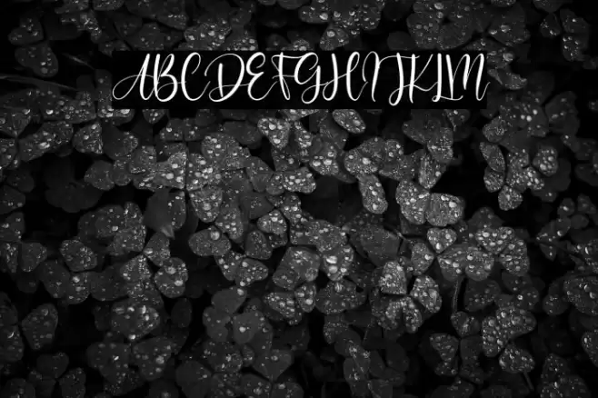 Sabrina Font examples