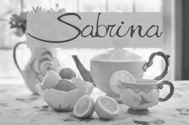 Sabrina Font examples