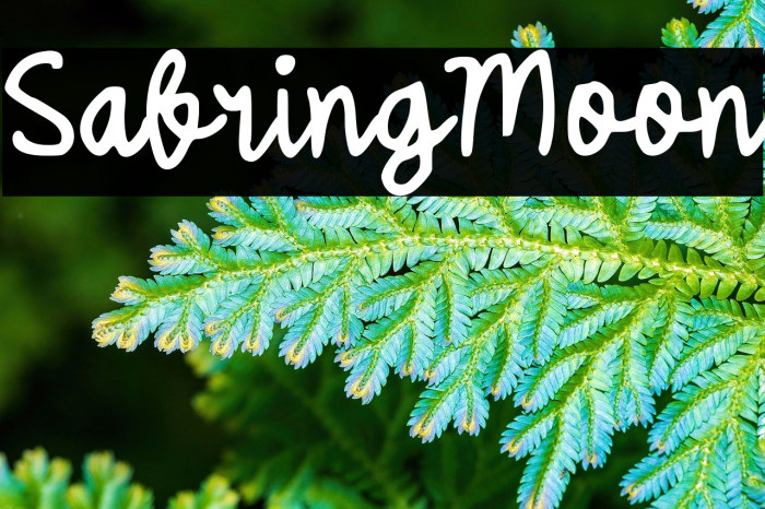 Sabring Moon Example 1