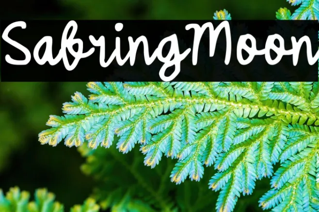 Sabring Moon Example 1