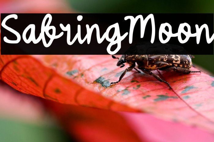 Sabring Moon Example 3