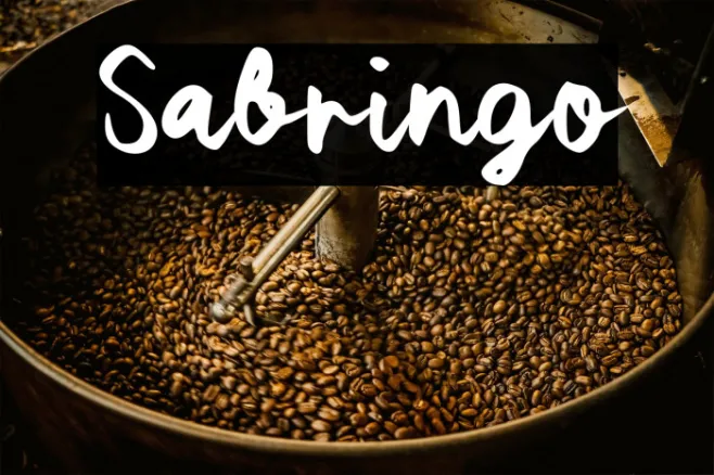 Sabringo Example 1