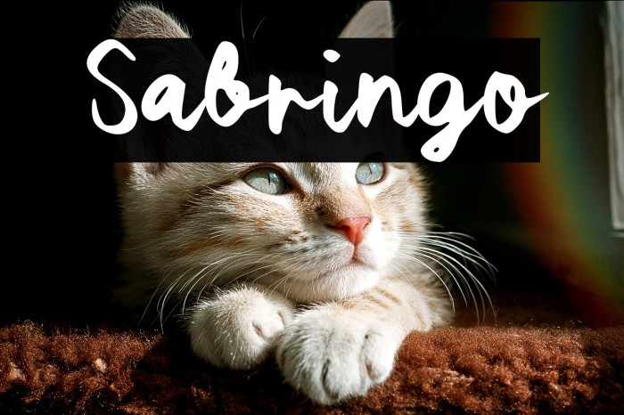 Sabringo Example 2