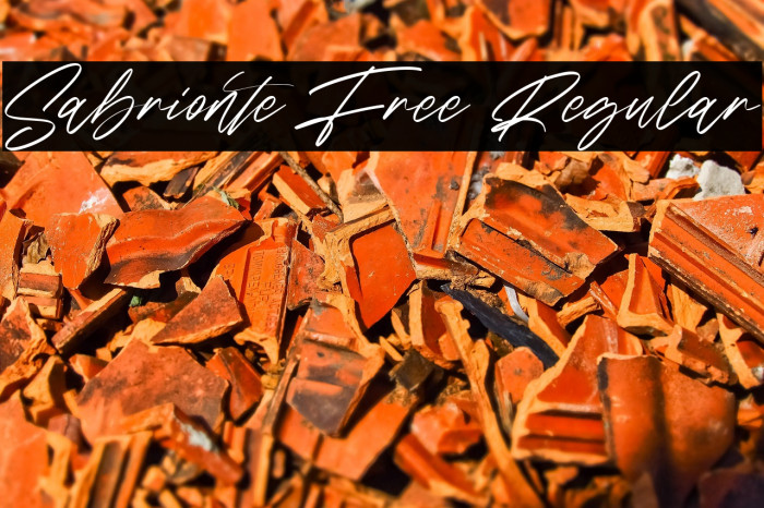 Sabrionte Free Regular Example 1