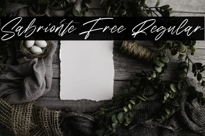 Sabrionte Free Regular Example 2