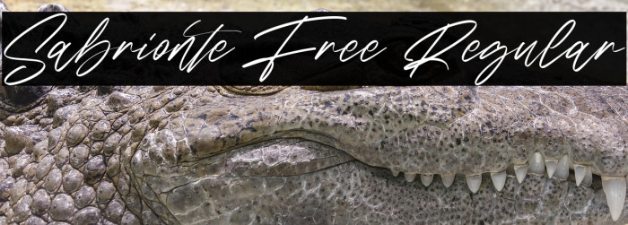 Sabrionte Free Regular Example 3