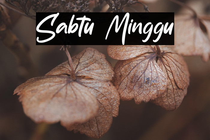 Sabtu Minggu Example 3