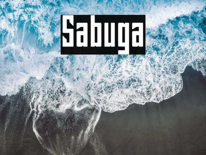 Sabuga Example 1