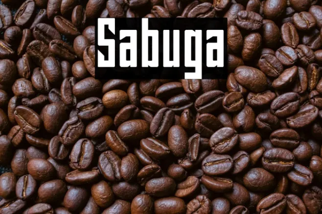 Sabuga Example 2