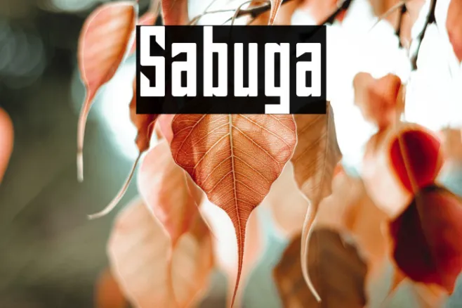 Sabuga Example 3