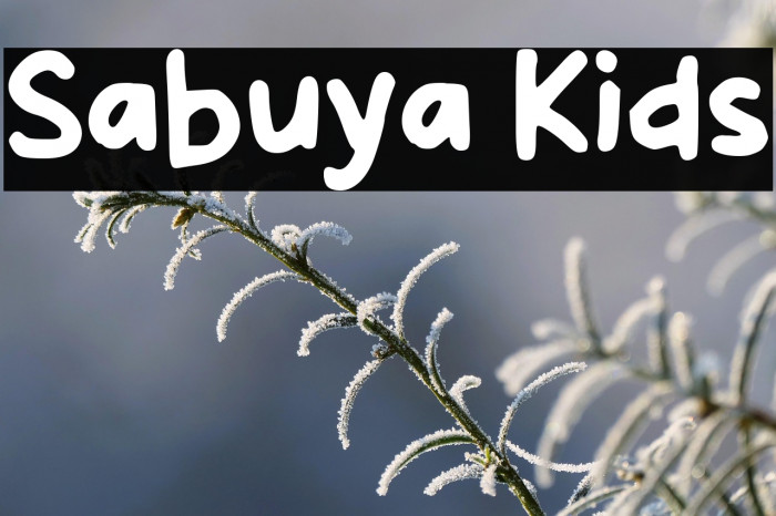 Sabuya Kids Example 2