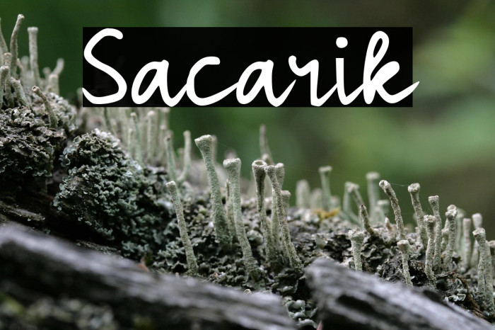 Sacarik Caratteri examples