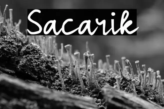 Sacarik examples