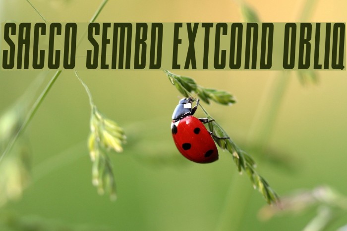 Sacco SemBd ExtCond Obliq Example 1