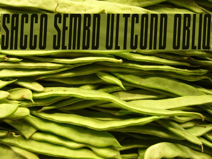 Sacco SemBd UltCond Obliq Font examples