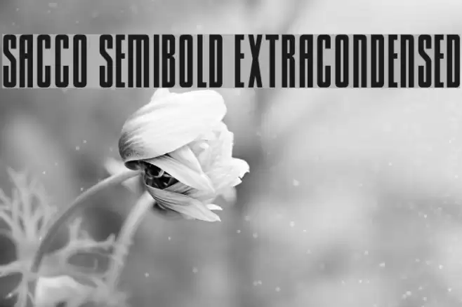 Sacco SemiBold ExtraCondensed Font examples
