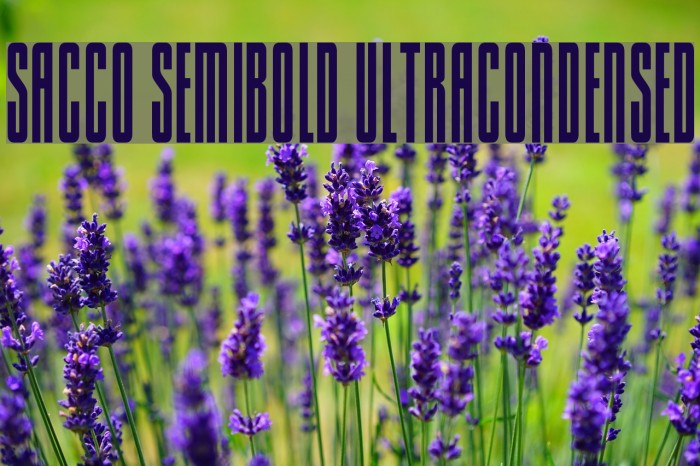 Sacco SemiBold UltraCondensed Font examples