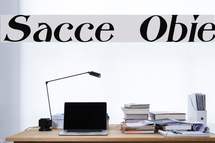 Saccule Oblique Font examples