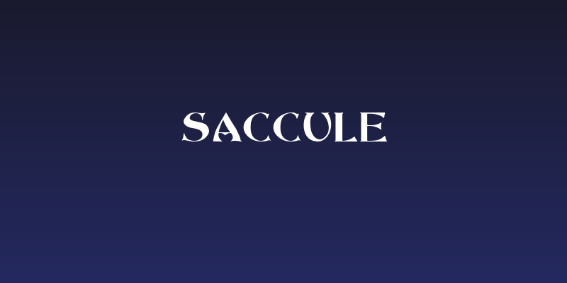Saccule Social Header