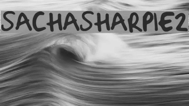 Sacha_Sharpie_2 Font examples