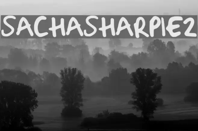 Sacha_Sharpie_2 Font examples