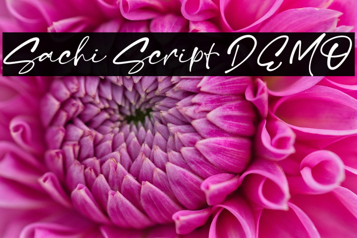 Sachi Script DEMO Example 3
