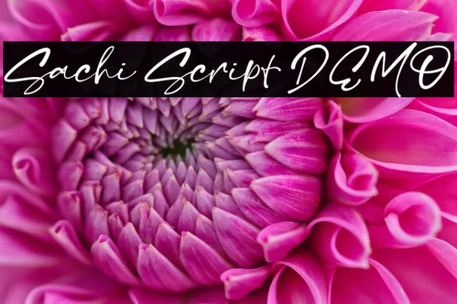 Sachi Script DEMO Example 3