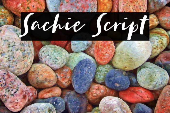 Sachie Script Example 1