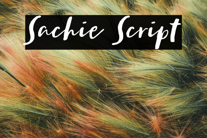 Sachie Script Example 2