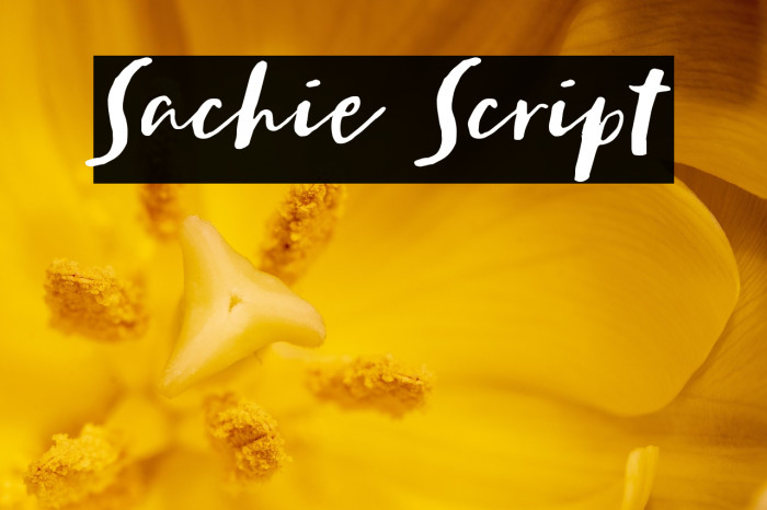 Sachie Script Example 3