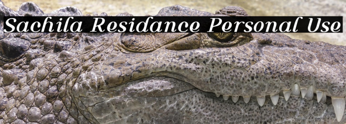 Sachila Residance Personal Use Example 2