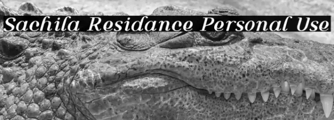 Sachila Residance Personal Use Caratteri examples