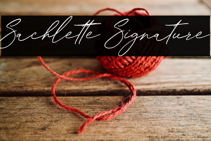 Sachlette Signature Example 2