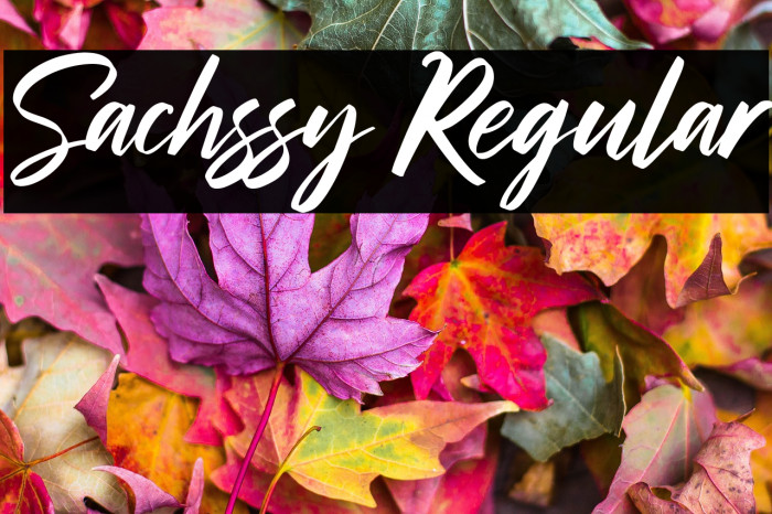 Sachssy Regular Example 1