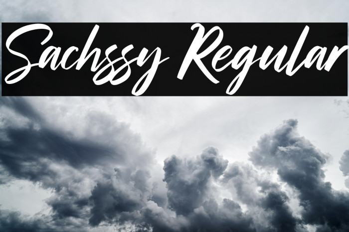 Sachssy Regular Example 2