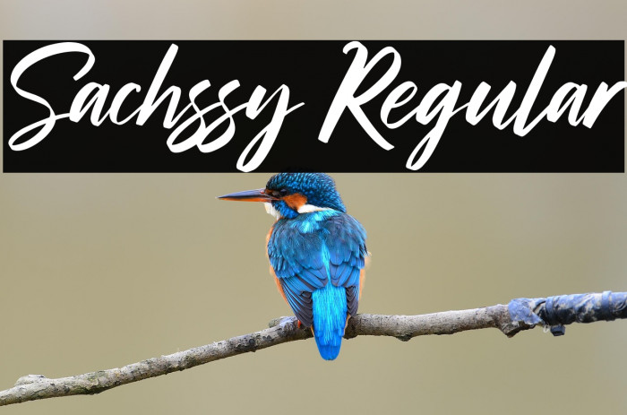 Sachssy Regular Example 3