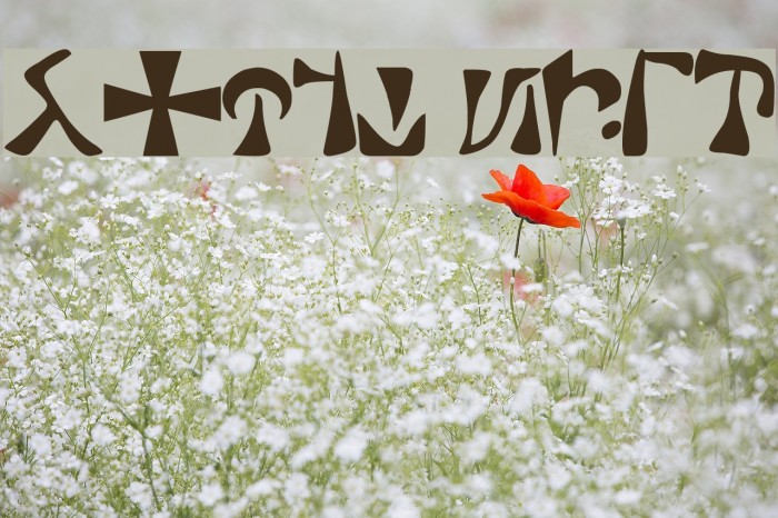 Sacre Font examples