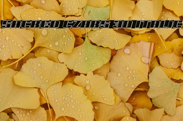 Sacred Czars 3D Italic Example 2