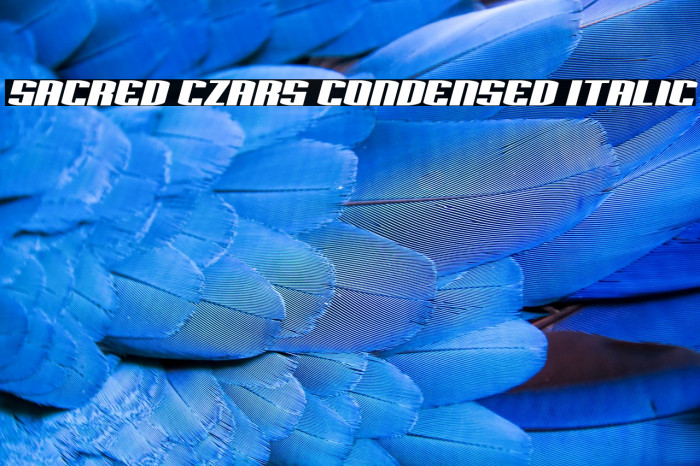 Sacred Czars Condensed Italic Example 2
