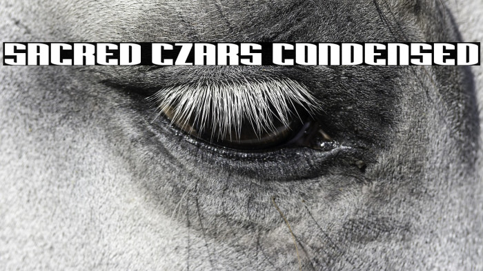 Sacred Czars Condensed Example 2