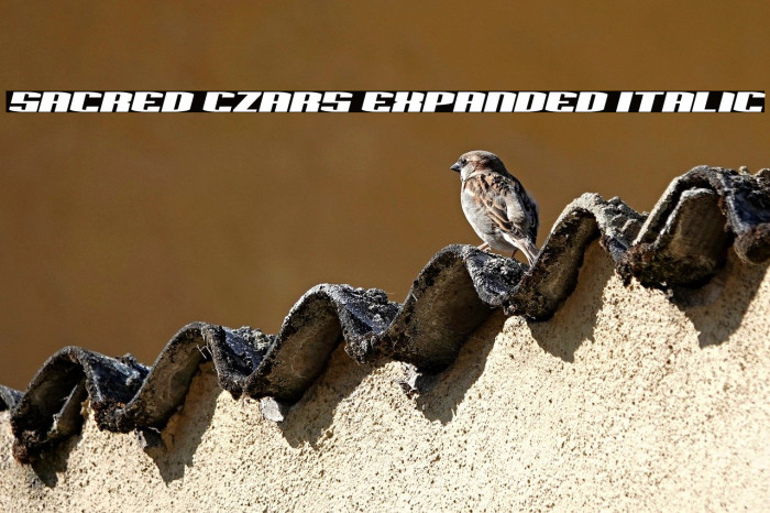 Sacred Czars Expanded Italic Example 3