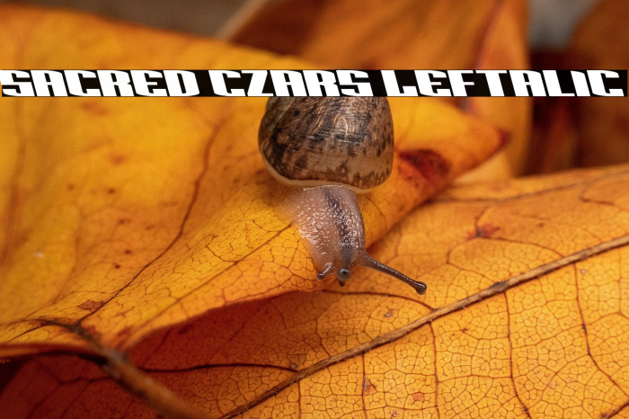 Sacred Czars Leftalic Example 3