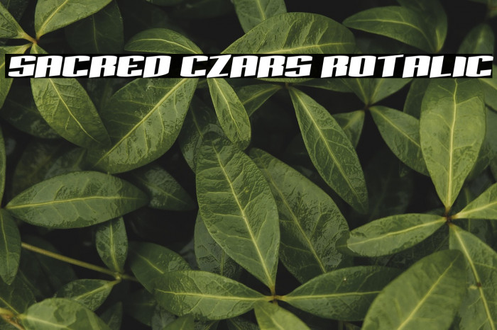 Sacred Czars Rotalic Example 2
