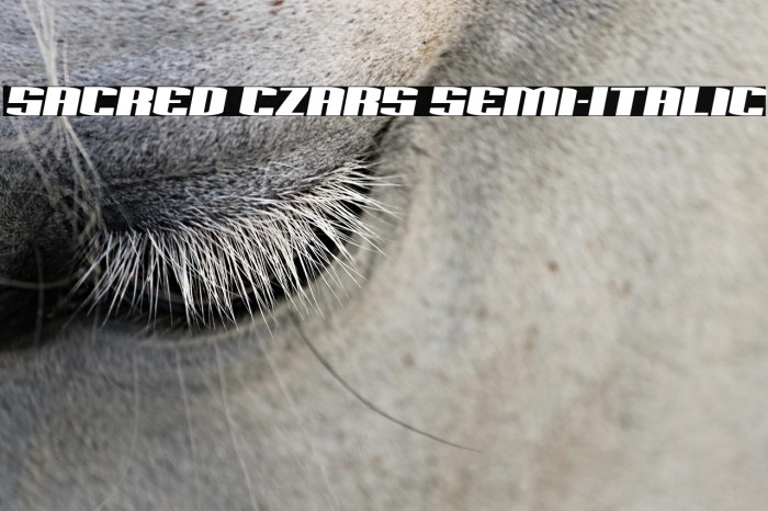 Sacred Czars Semi-Italic Example 3