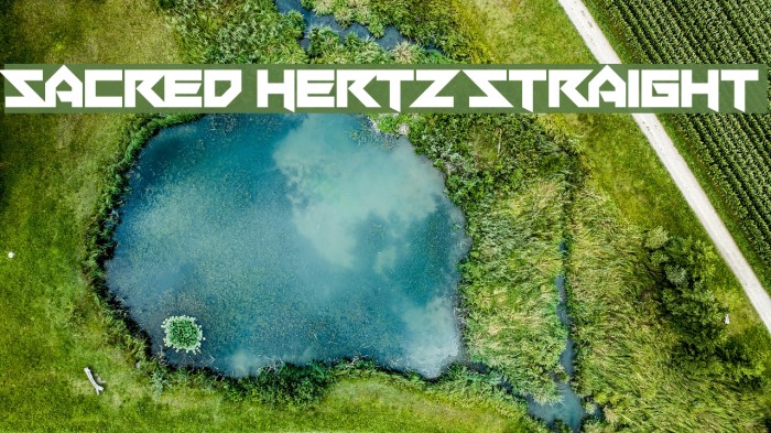 Sacred Hertz Straight Font examples