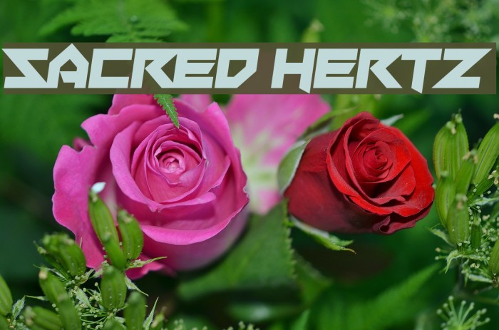 Sacred Hertz Example 2