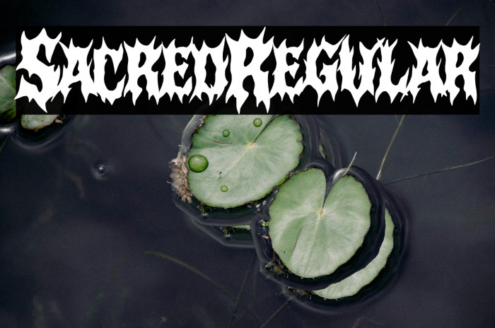 Sacred Regular Example 1