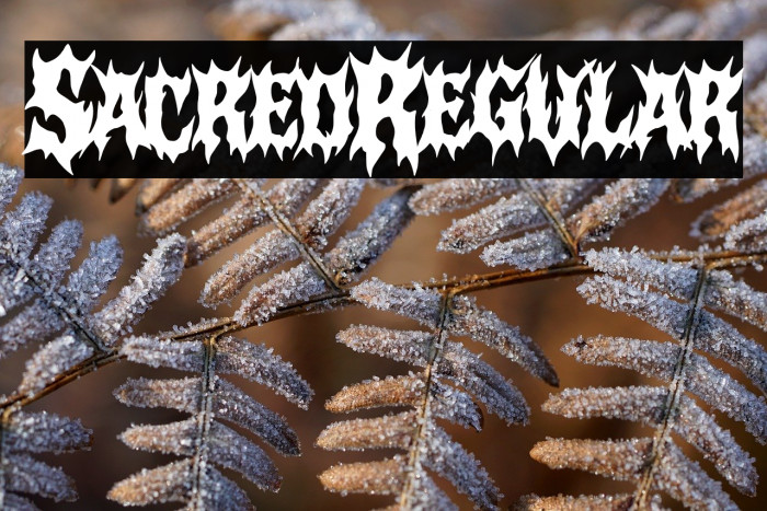 Sacred Regular Example 2