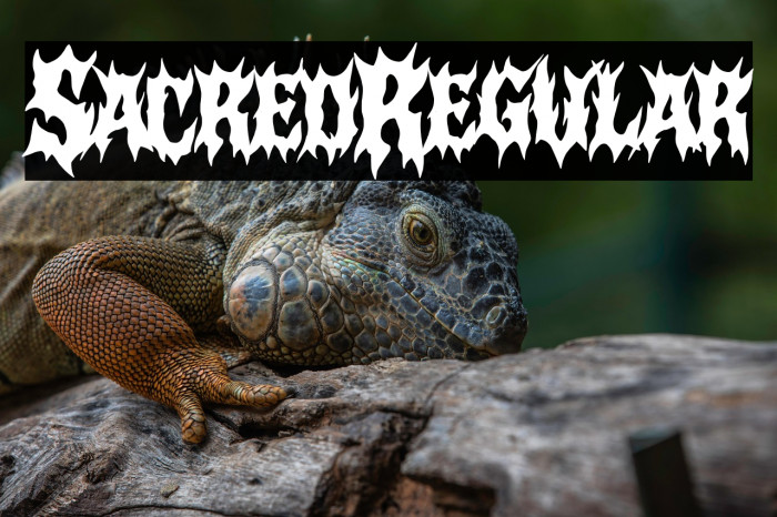 Sacred Regular Example 3