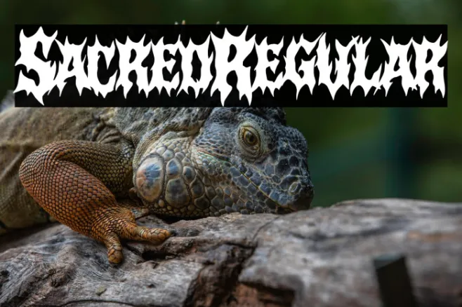 Sacred Regular Example 3